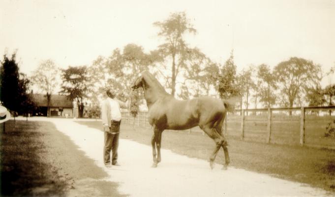 African American man standing with a horse