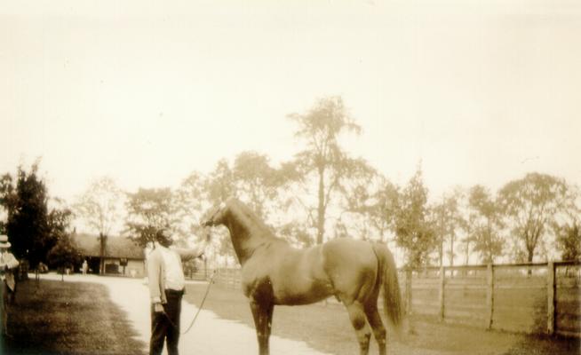 African American man standing with a horse