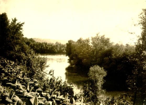 Mouth of Main Elkhorn Creek where it joins the Kentucky River, in Franklin County, KY. Picture taken July 14, 1931 by Sam'l [Samuel] M. Wilson