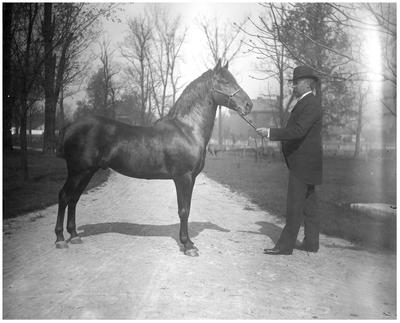 Robert Wickliffe Preston (1850-1914) with horse