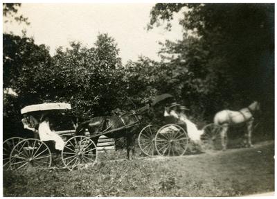 Unidentified woman in horse-drawn buggy