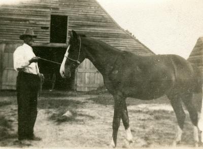 Unidentified man and horse