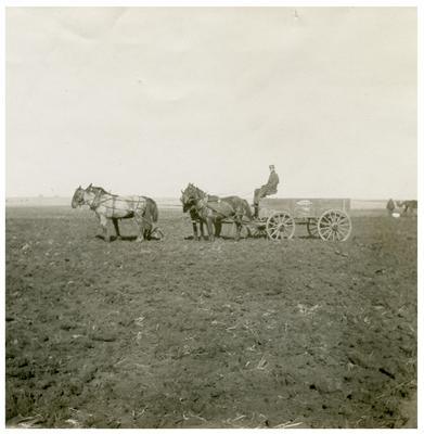 Unidentified man and horse-drawn cart in field