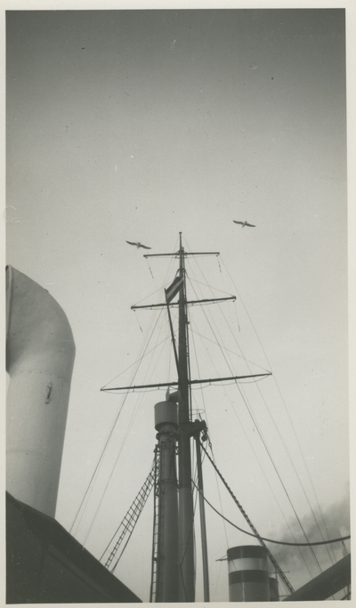 Ship's mast.  