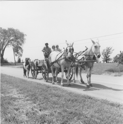 Horse-drawn wagon