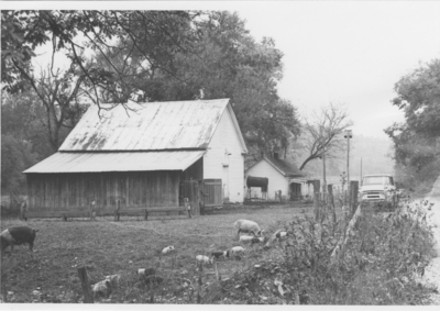 Series S- S11: Van Buren Rd., small farmhouse, church converted into barns, sows and piglets (2 duplicates)