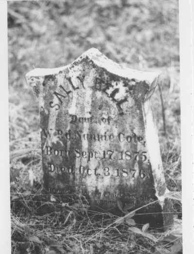 Series S-3-S27: Anderson Co., cemetery, stone of Sally Bell