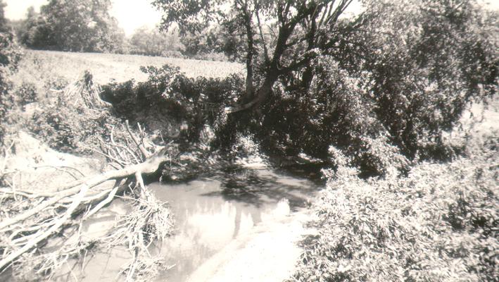 Big Bone Creek, near Big Bone Lick (Boone County, KY) July 4th, 1940