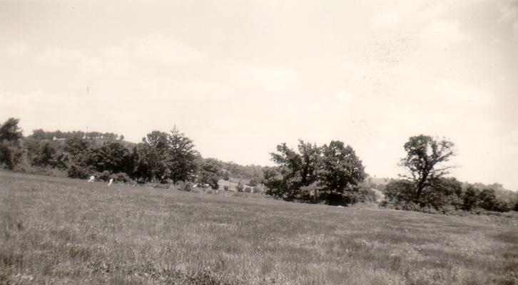 Big Bone Lick (Boone County, KY) July 4th, 1940; Pasture