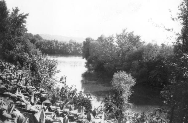 Mouth of Main Elkhorn Creek, where it joins the Kentucky River in Franklin County, KY. Picture taken July 14, 1931, by David M. Wilson