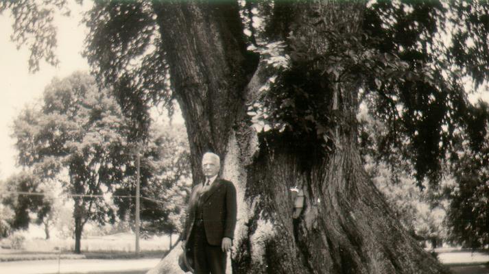 Mr. Wilson standing by Ancient Elm; Marietta, Ohio