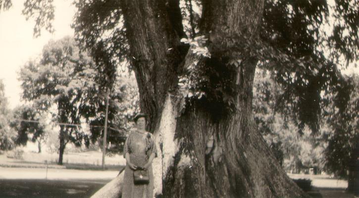 Mary Shelby Wilson standing by Ancient Elm; Marietta, Ohio
