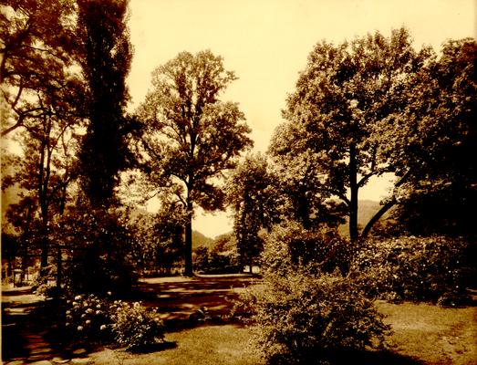 Lower yard, Residence of John Fry, Jr., Big Stone Gap, Virginia