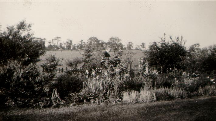 Three people in a flower garden