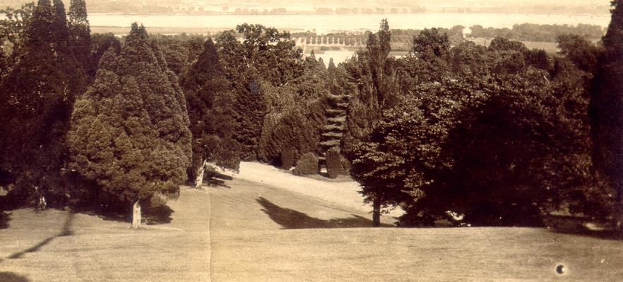 View from a hilltop