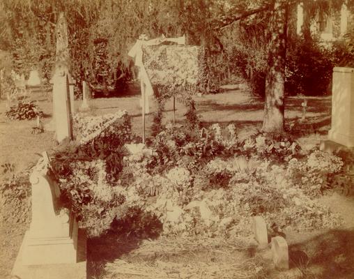 Flower bed in a cemetery