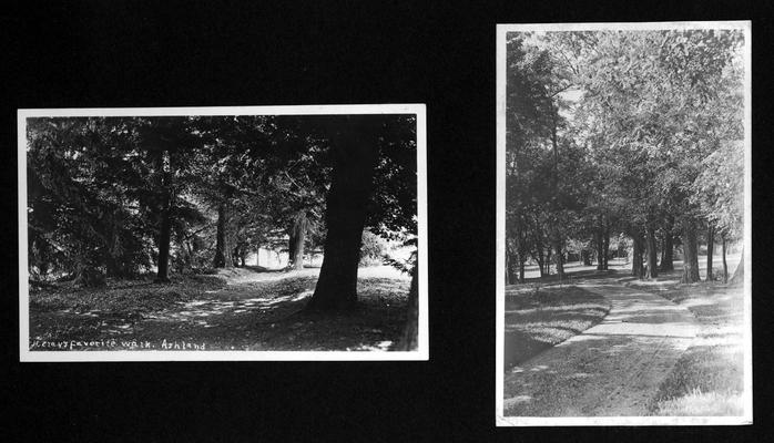 View of H. Clay's favorite walk, Ashland; Another view of the walk at Ashland