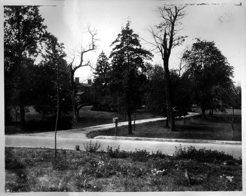 View of Ashland from Richmond Road