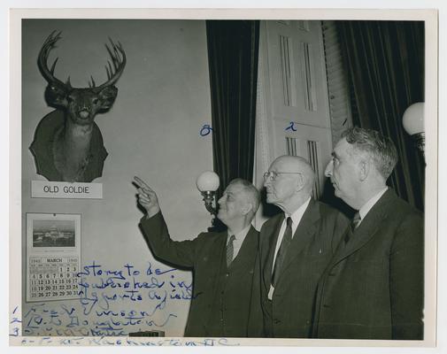 Group looking at trophy deer head. Left to right:  J.V. McClorise; R.L. Doughton, Chairman, Ways & Means Committee; and Secretary Vinson