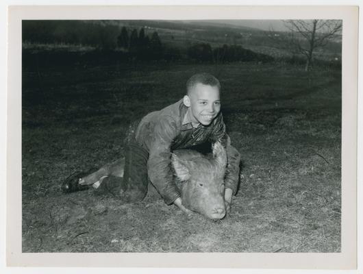 Unidentified boy sits on and holds hog