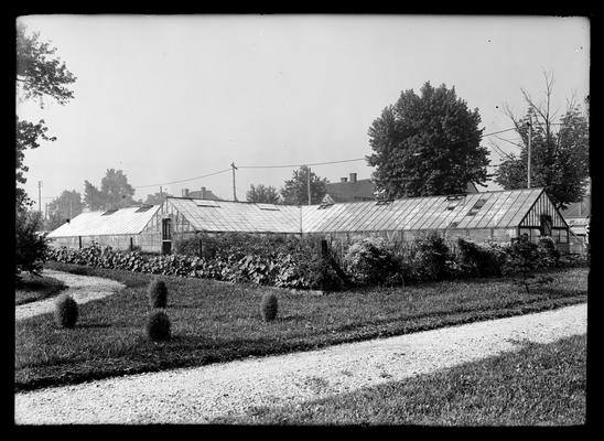 Green house, Queen & Crescent, Lexington