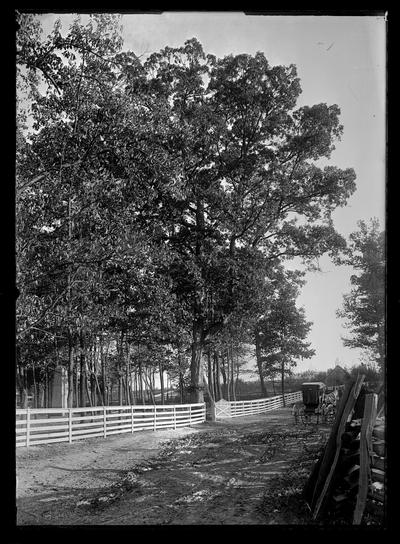 Fenced woodland to left, park with monument, horse and buggy