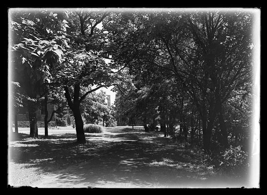 Campus scene, driveway, Neville Hall to left