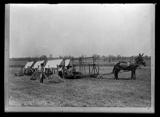 Two men, four wagons with covers ready, possibly hemp