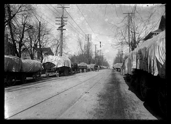 Loaded tobacco wagons on both sides of a street