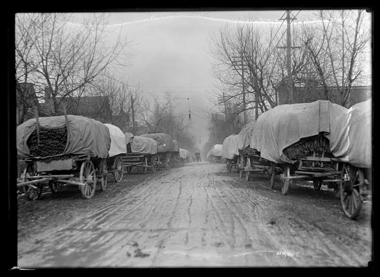 Street scene during tobacco season, wagons on both sides of street