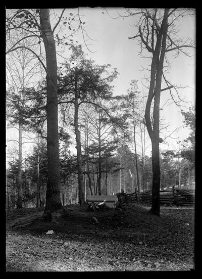 Small house with rail fence and tall trees