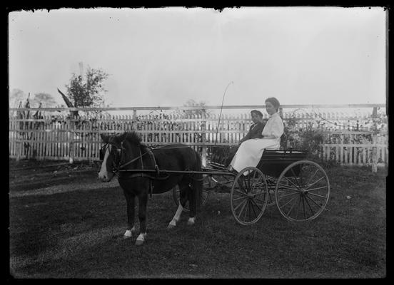 Woman and young boy sitting in a horse drawn cart