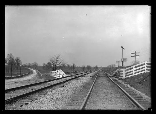 Double track by road curving to left