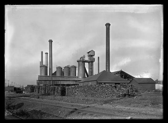 Industrial plant, wood in foreground