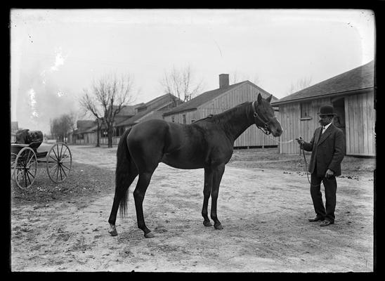 Horse, held by man with mustache, derby hat