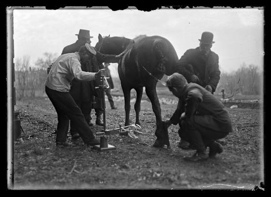 Men with machine, examining horse's legs, possibly an x-ray machine, for Mr. Sphar