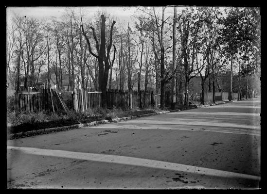 Lexington, City Engineers Office, street, trees, picket fence