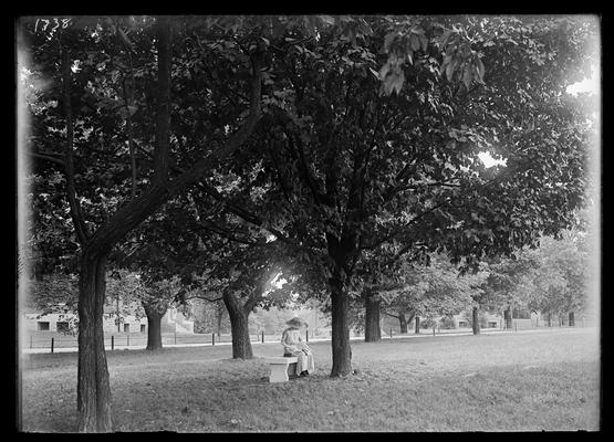 Woman on bench under trees, Frazee in left background