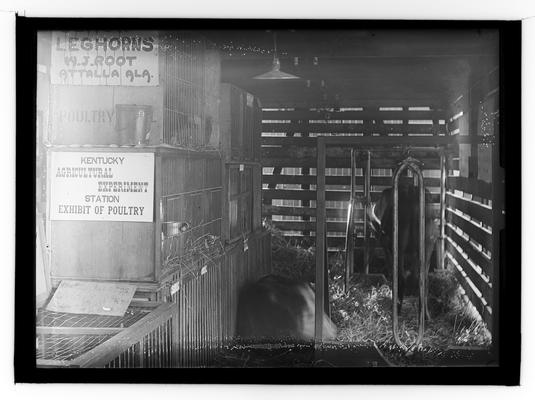 Chattanooga Fair Exhibit