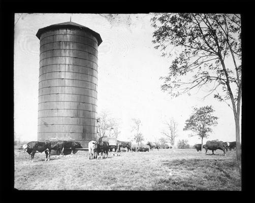 Exterior of a silo with cattle in a field