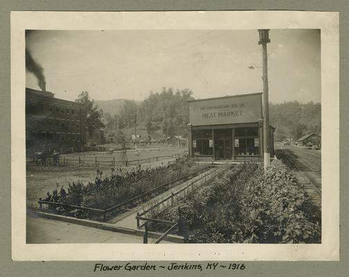 Title handwritten on photograph mounting: Flower Garden--Jenkins, Kentucky