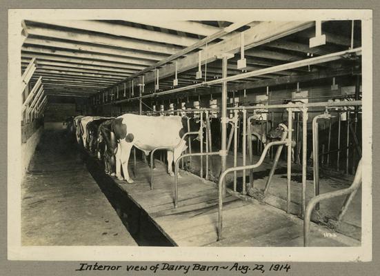 Title handwritten on photograph mounting: Interior view of Dairy Barn