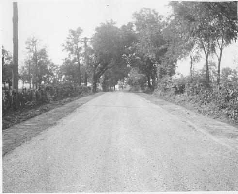 Typical section of county-wide road improvement project