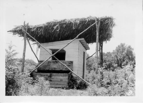 Archeological Survey Project shack