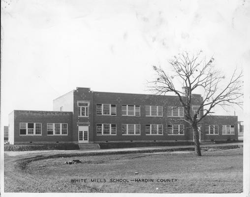 White Mills School