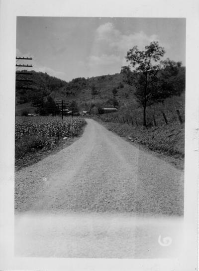 Buffalo Creek Road constructed by WPA