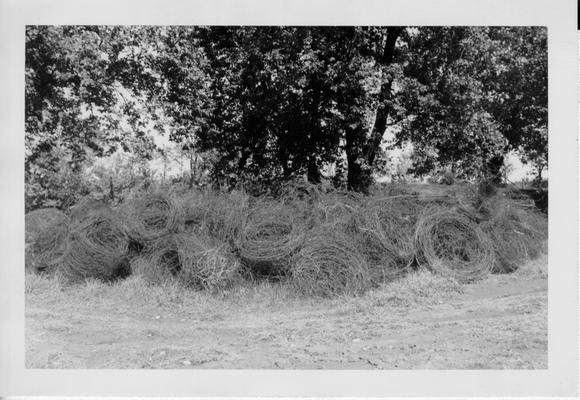 Winchester Scrap Piles wire fencing collected, September 1942