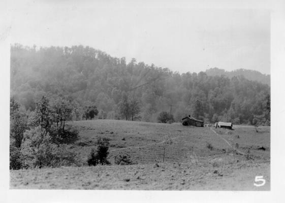 #4 Fairway from green tee (indicated by arrow) on Harlan Golf Course