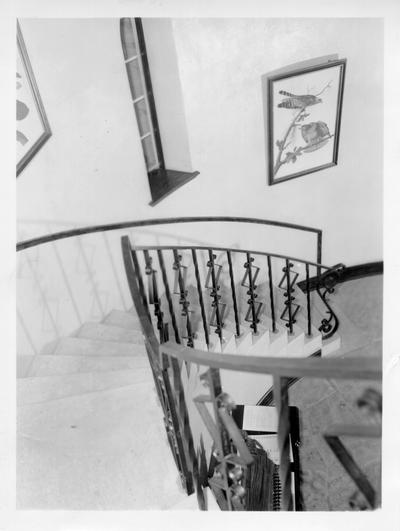 Interior view of Audubon Museum looking down spiral staircase from second floor