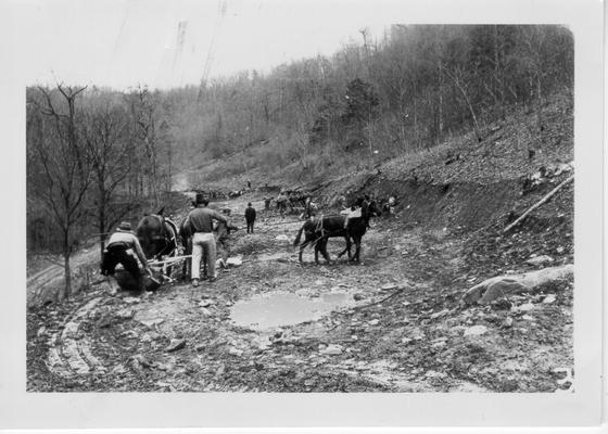 WPA workers grading road with horse teams